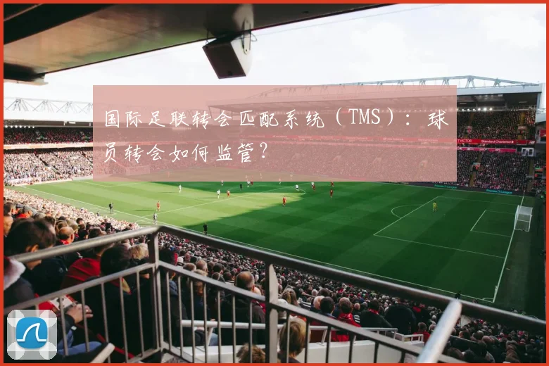 国际足联转会匹配系统（TMS）：球员转会如何监管？