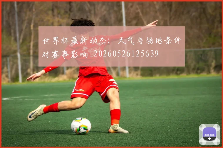 世界杯最新动态：天气与场地条件对赛事影响_20260526125639
